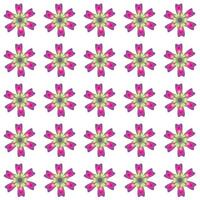 Colored Flowers Pattern vector