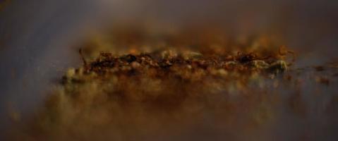 The weed being spread all over the table, preparing to roll a joint. video