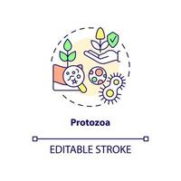 Protozoa concept icon. Agricultural microbiology abstract idea thin line illustration. Soil environment. Isolated outline drawing. Editable stroke. Roboto-Medium, Myriad Pro-Bold fonts used vector