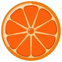 fruta naranja naranjas que están segmentadas sobre un fondo blanco. vector