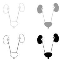 Bladder and kidney the set black grey color icon vector