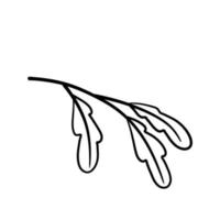 Branch of plant. Leaves in line style. Black and white natural illustration. Minimalism and simple flora. vector