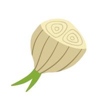 Onion in doodle style. Vegetable food vector