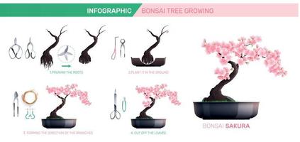 infografías de cultivo de bonsáis vector