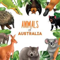 composición de marco de animales australianos vector