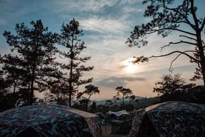 silhouette concept of Sunset View Point at Phu Ruea National Park, Loei, Thailand with Golden sky background and pinus kesiya tree on twilight tone after sunset. photo