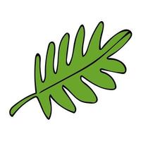 Cartoon linear doodle palm leaf isolated on white background. vector