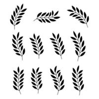 Set of black silhouette of plant isolated on white background.  Floral design elements collection. Foliage icon. Tree branch with leaves. vector