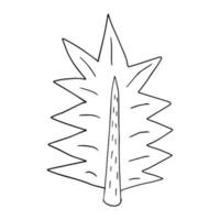 Cartoon doodle linear spruce tree isolated on white background. Forest hand drawn icon. vector