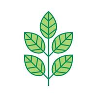 Plant thin line icon isolated on white background. Thin line foliage icon. Tree branch with leaves. vector