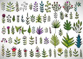 Floral set of colorful hand drawn elements, tree branch, bush, plant, tropical leaves, flowers, branches, petals isolated on white. Collection for design. vector