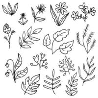 Floral set of black outline hand drawn elements, flowers, tree branch, bush, plant, tropical leaves, branches, petals isolated on white. Collection for design. vector