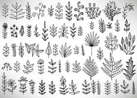 Floral set of black outline hand drawn elements, tree branch, bush, plant, tropical leaves, flowers, branches, petals isolated on white. Collection for design. vector