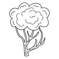 Hand drawn cartoon linear doodle bush isolated on white background. vector