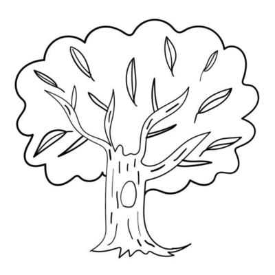 Cartoon doodle hand drawn tree isolated on white background. Childlike style. Sketch woodland icon.