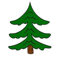 Cartoon doodle linear spruce tree isolated on white background. vector