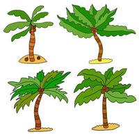 Cute cartoon doodle linear palm isolated on white background. Exotic tree sketch. vector