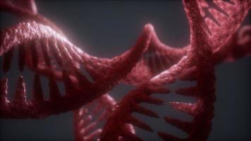 loop double helical structure of dna strand close-up animation photo
