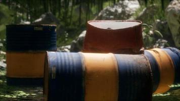 Rusty barrels in green forest photo