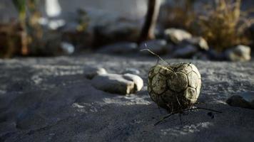 An old torn soccer ball thrown lies on sand of sea beach photo