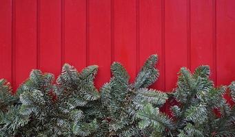 christmas background with red wood and green fir sprigs photo