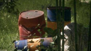 Rusty barrels in green forest photo