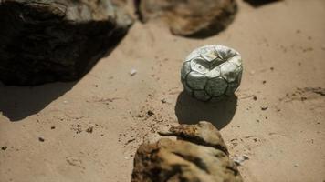 old football ball on the sand beach photo