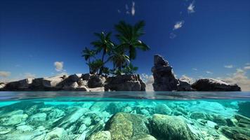 Split view cross section of sea water and palm trees on Island photo