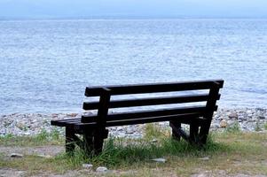 Brown wooden bench in the park. Summer sunny day. Green grass and trees. Resting and relaxing area. Empty bench for sitting. Wood exterior material. Beautiful bench near sea or lake photo