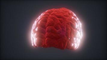animación de cerebro humano giratorio de bucle foto