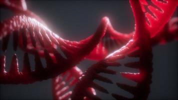 loop double helical structure of dna strand close-up animation photo