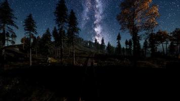 The milky way above the railway and forest photo