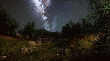 bosques de árboles verdes en el parque bajo el cielo estrellado de la noche foto