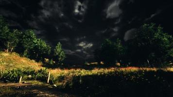 Thunderstorm clouds with lightning in green meadow photo