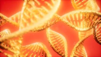 structure of the DNA double helix animation photo