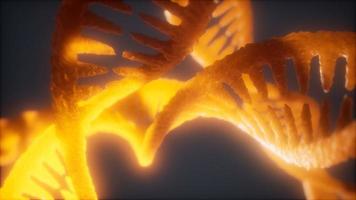 loop double helical structure of dna strand close-up animation photo