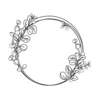 Eucalyptus leaves hand drawn circle frame vector