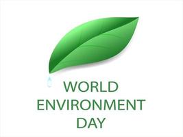 Vector illustration of a leaf for World Environment Day.The concept of the environment. Volumetric large and a drop of water. Realistic vector illustration. World Environment Day.