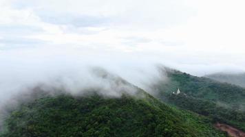 vue aérienne des arbres couverts de brouillard dans la vallée beau concept de voyage d'automne. video