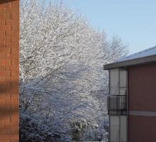 escena de invierno con nieve foto