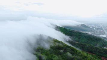 vista aérea de árboles cubiertos de niebla en el valle hermoso concepto de viaje de otoño.