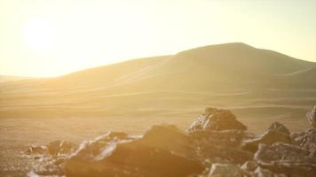 Aerial view on big sand dunes in Sahara desert at sunrise photo