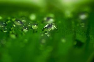 primer plano macro de gota de agua sobre fondo de naturaleza abstracta de hoja verde. foto