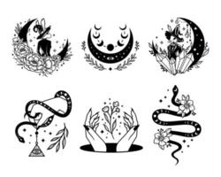 Magic and Celestial Collections vector