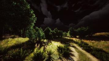 Thunderstorm clouds with lightning in green meadow photo