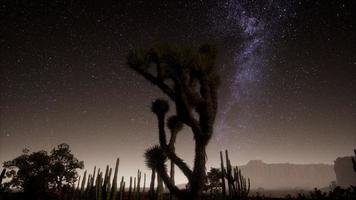 hiperlapso en el desierto del parque nacional del valle de la muerte iluminado por la luna bajo las estrellas de la galaxia foto