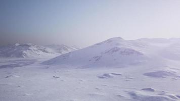 Aerial Landscape of snowy mountains and icy shores in Antarctica photo