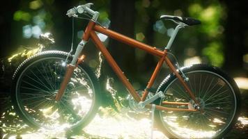 bicicleta de montaña en el camino del bosque foto