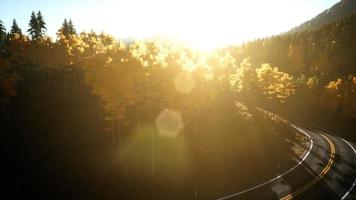 Aerial Drone View Flight over pine tree forest in Mountain at sunset photo