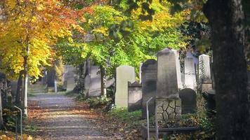 ein alter jüdischer friedhof in wroclaw, polen - breslau - grabplatten und krypten sind mit efeu bewachsen video